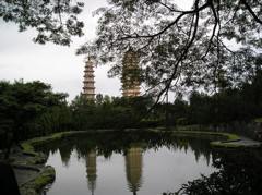 P8260445