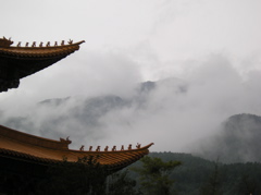 P8260468
