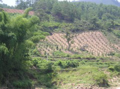 P8310984