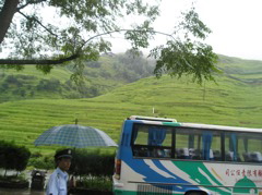 P9011062