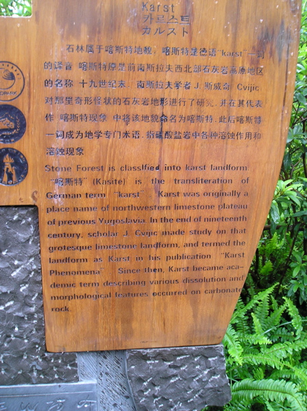 P8240359