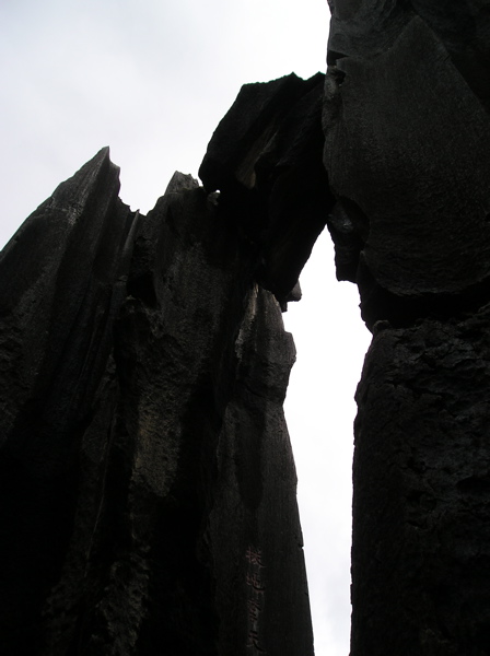 P8240379