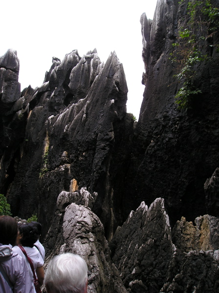 P8240385