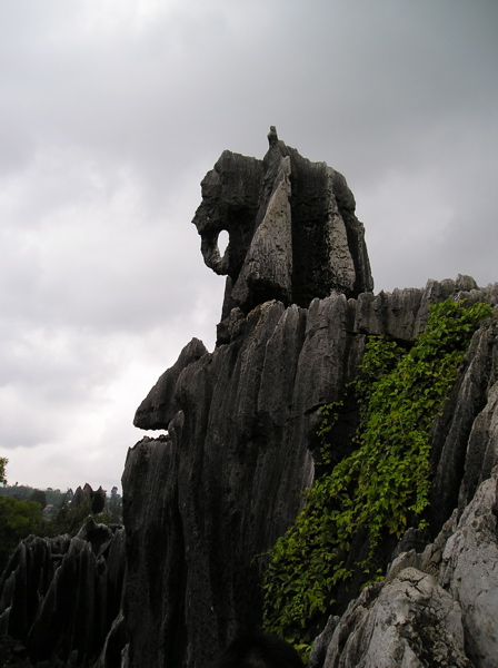 P8240404