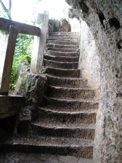 P8240340
