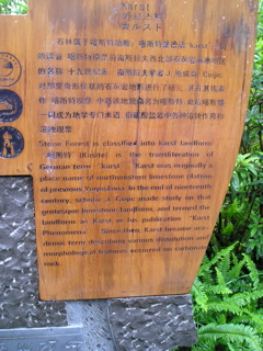 P8240359