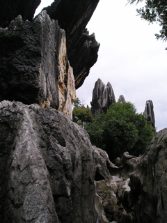 P8240372