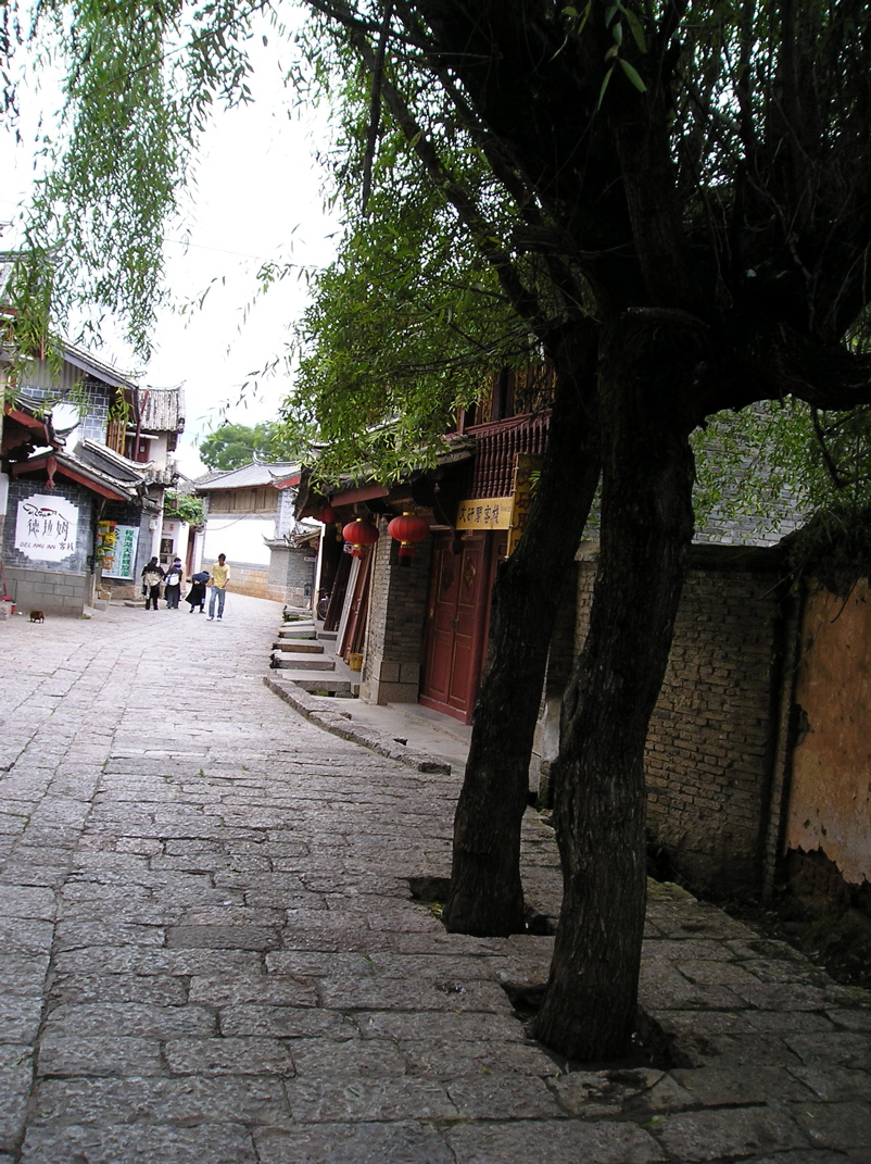 P8280575