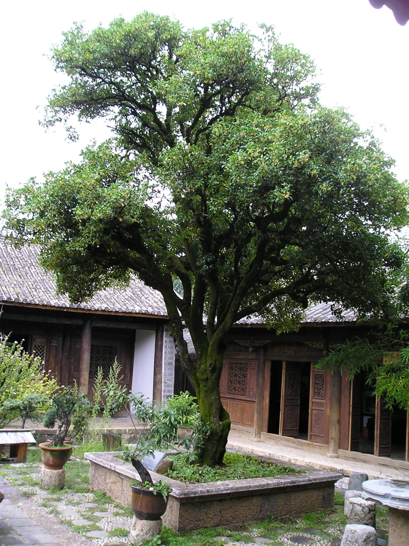 P8290747