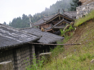 P8280697