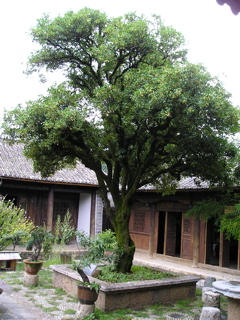 P8290747