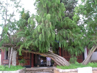 P8290764