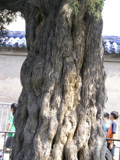 P8220213