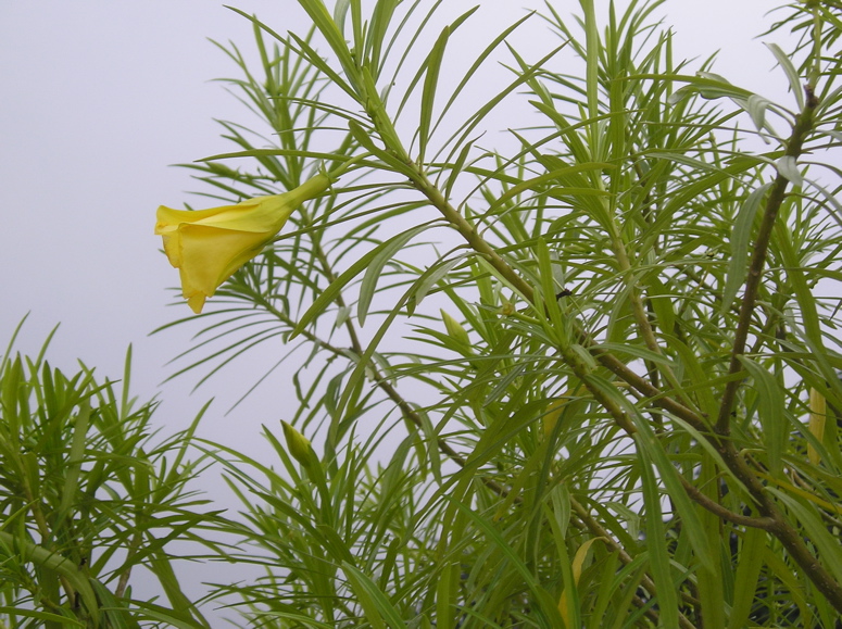 P9041259