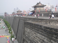 P9031130