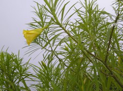 P9041259
