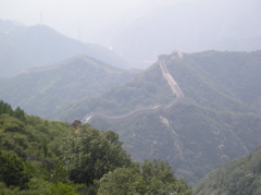 P8220246
